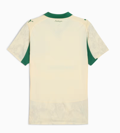 Palmeiras 25/26 x Kidsuper - Player Version