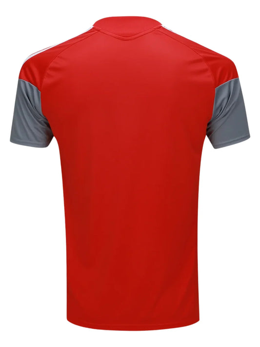 Internacional Training 26/27 - Fan Version