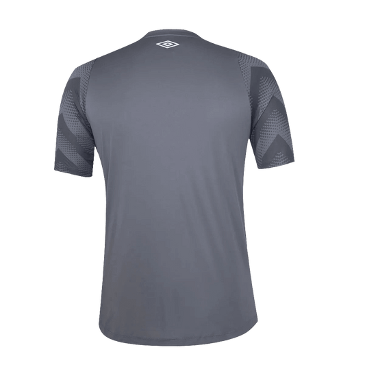 Santos 24/25 Goalkeeper - Gray - Fan Version