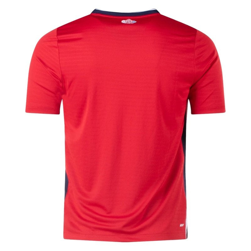Lille 24/25 I Home - Fan Version