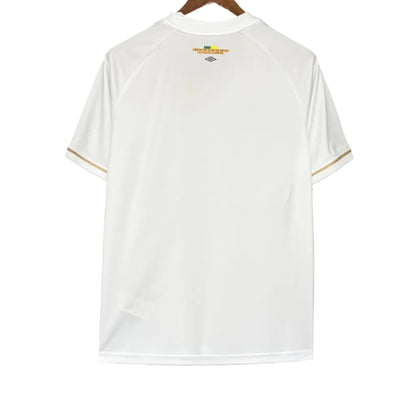 Santos 26/27 I Home  - Fan Version