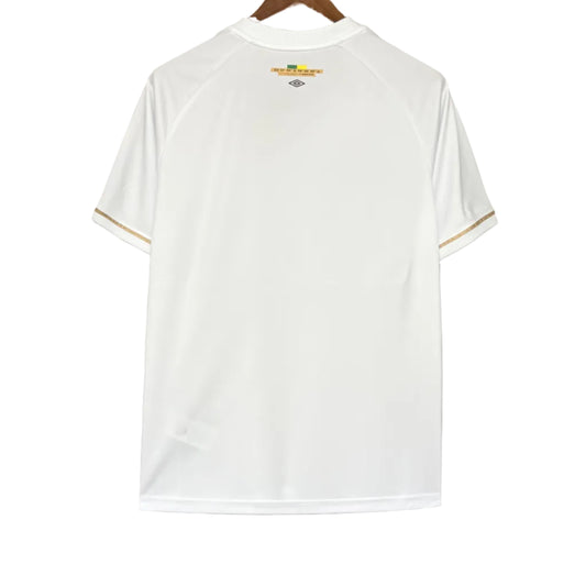 Santos 26/27 I Home  - Fan Version