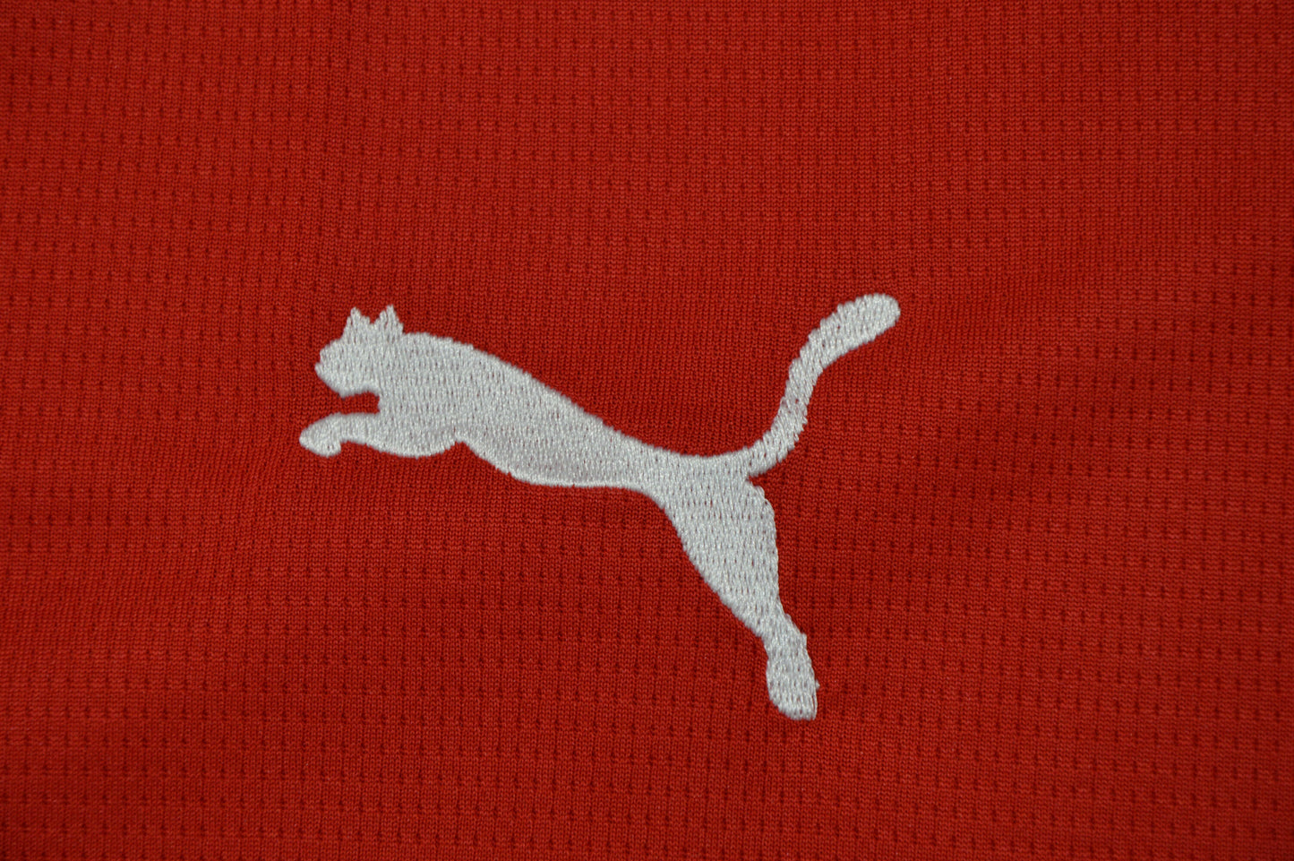 Austria Home World Cup 2026 - Fan Version