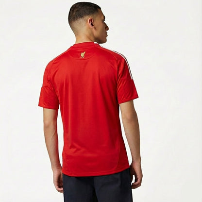 Retro Liverpool 2008/09 I