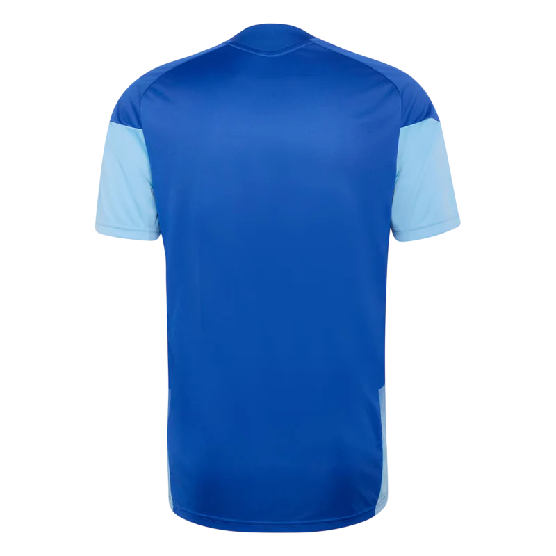 Cruzeiro   26/27 Training  - Fan Version