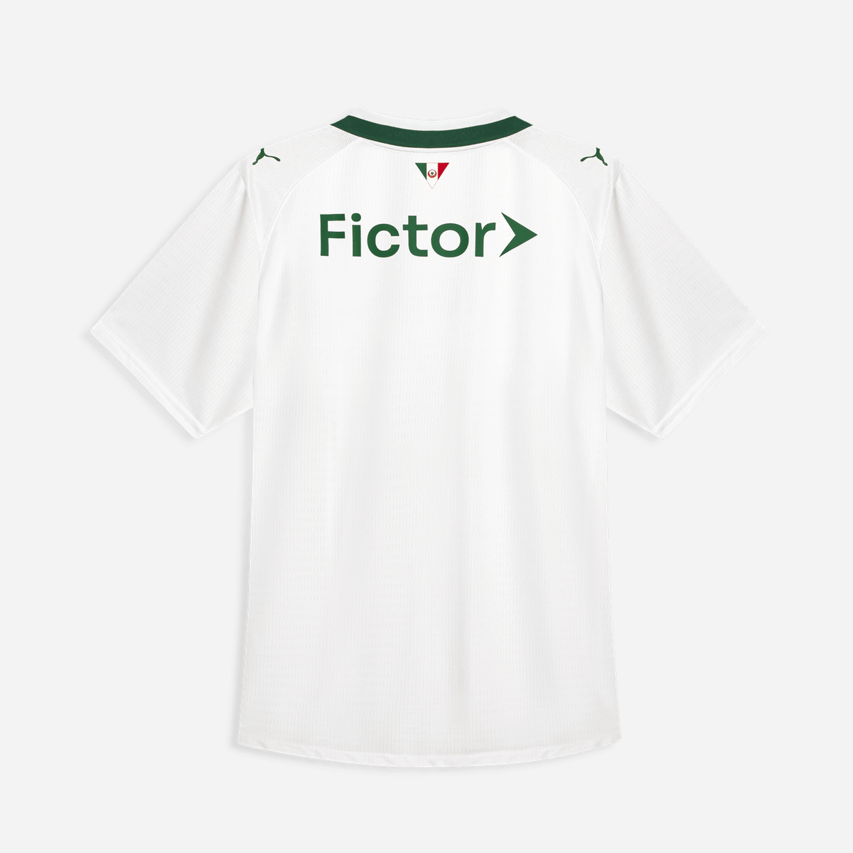 Palmeiras 2026/27 II Player