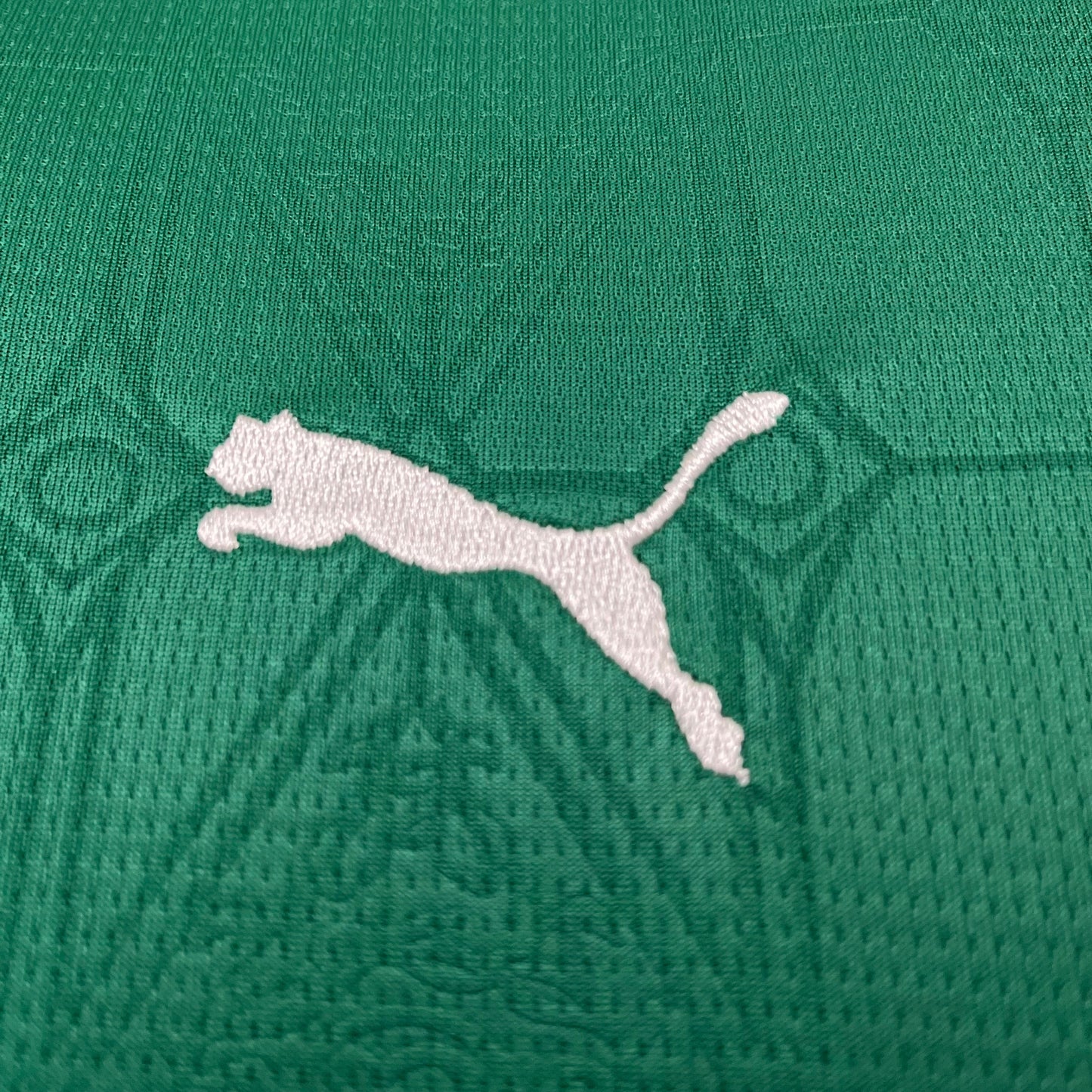 Palmeiras Infantil 25/26 I Home - Kids Kit
