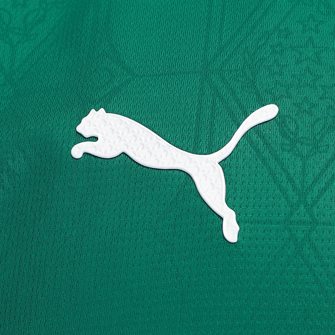 Palmeiras 25/26 I Home  - Player Version All Sponsors