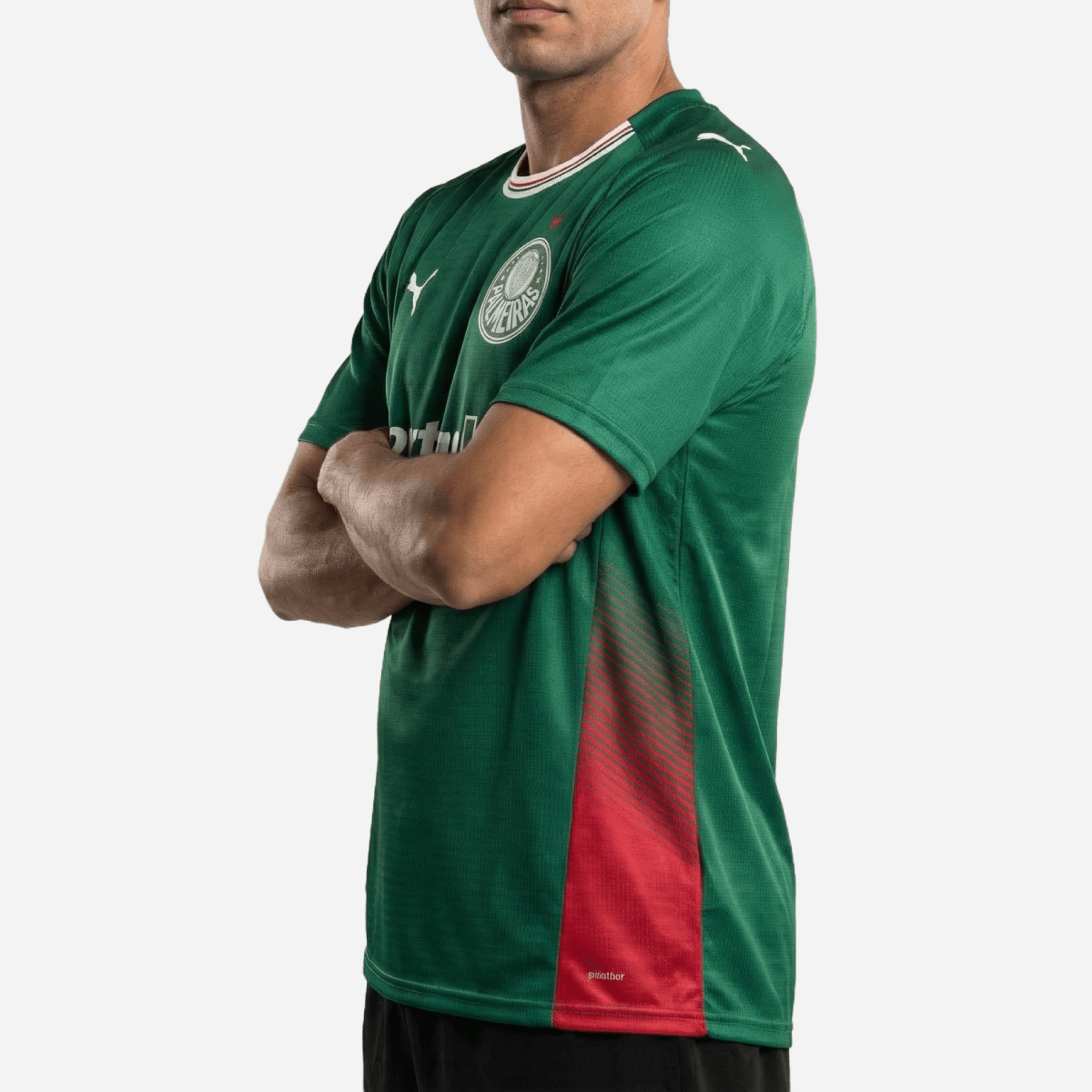 Palmeiras 2026/27 I Home - Fan Version