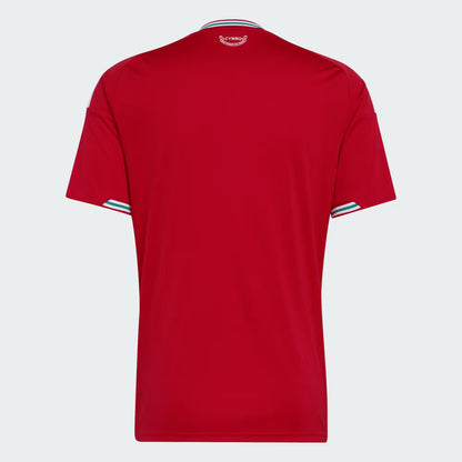 Wales 2026 Home World Cup 2026 - Fan Version