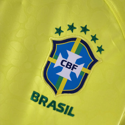 Brazil 22/23 I Home  - Fan Version