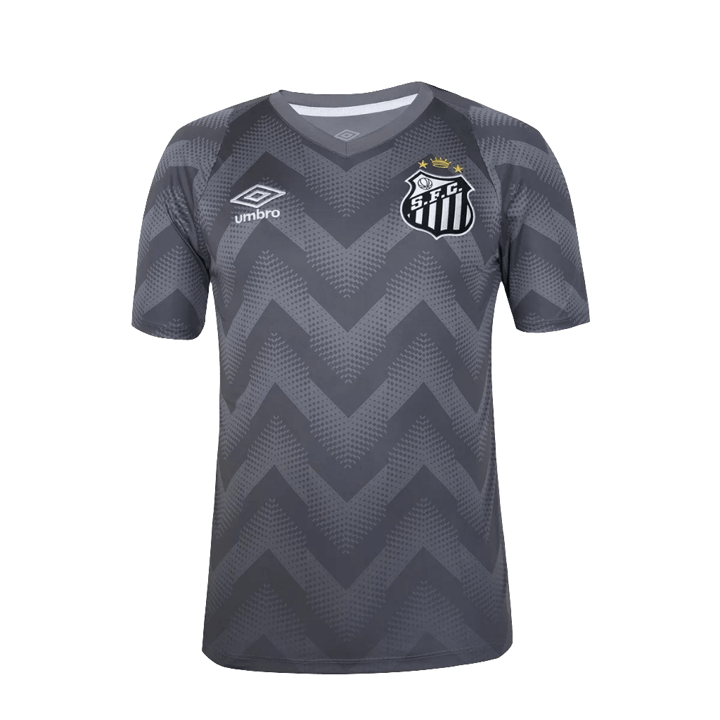 Santos 24/25 Goalkeeper  - Gray - Fan Version