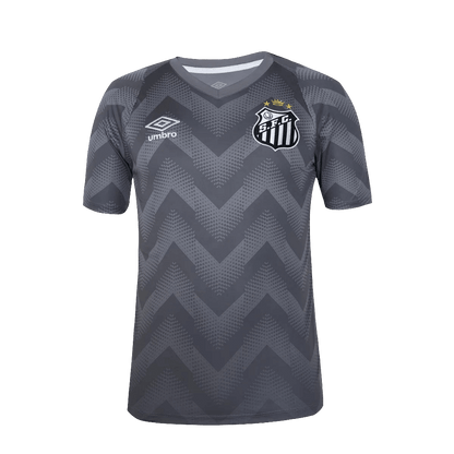 Santos 24/25 Goalkeeper  - Gray - Fan Version