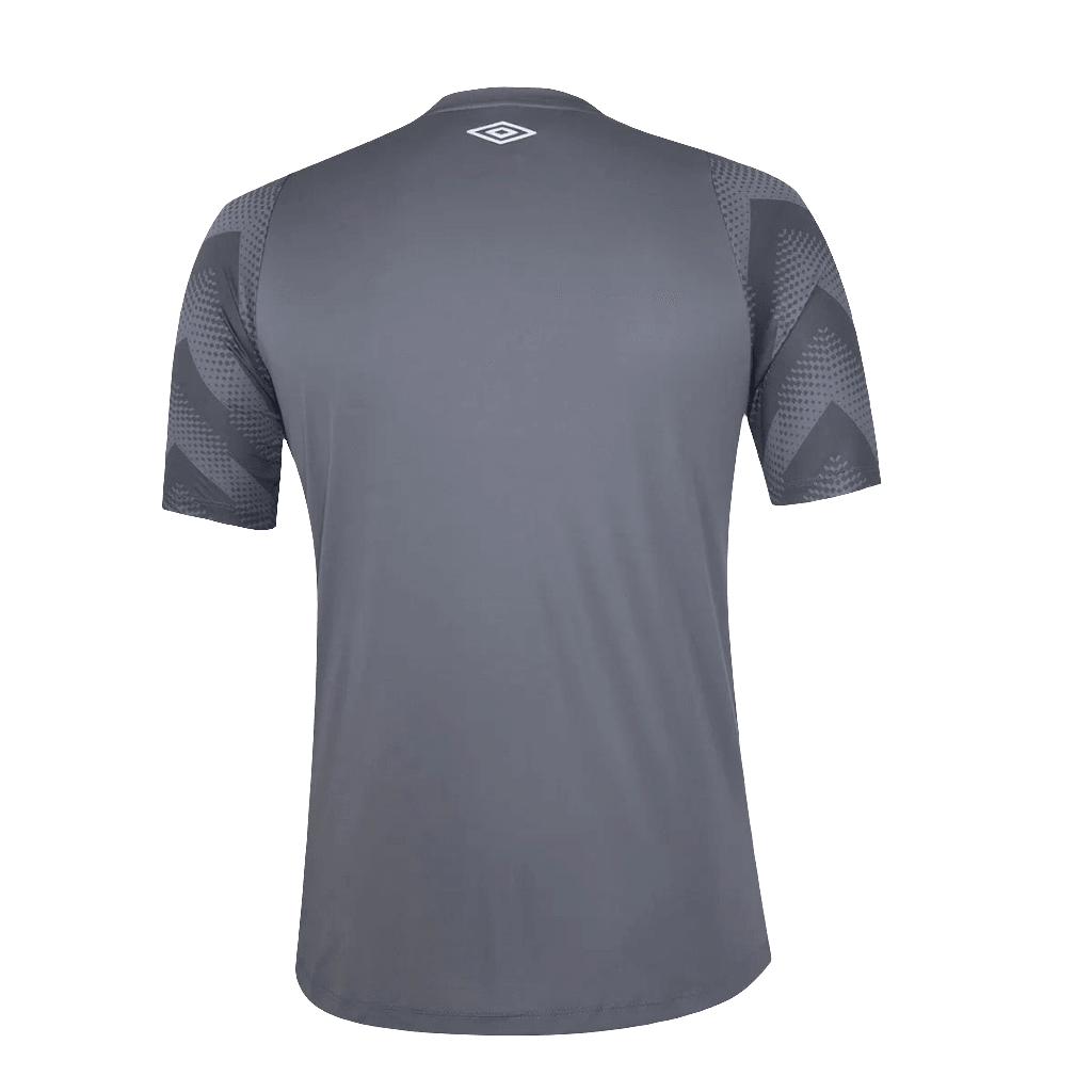 Santos 24/25 Goalkeeper  - Gray - Fan Version