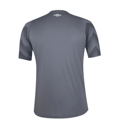 Santos 24/25 Goalkeeper  - Gray - Fan Version