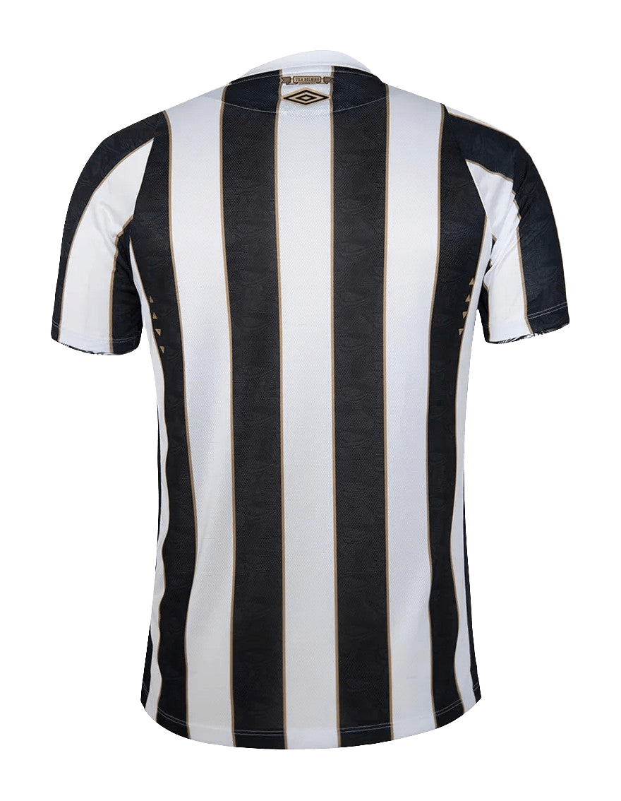 Santos 24/25 II Away  - Fan Version