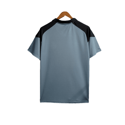 Gremio 23/24 Training  - Gray - Fan Version