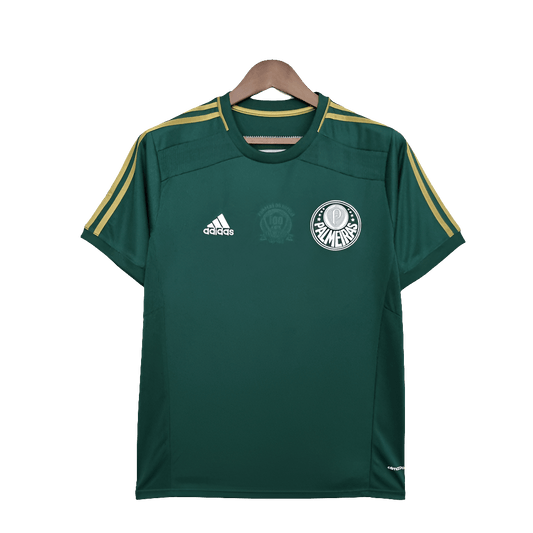 Palmeiras 14/15 I Home  - Retro Version