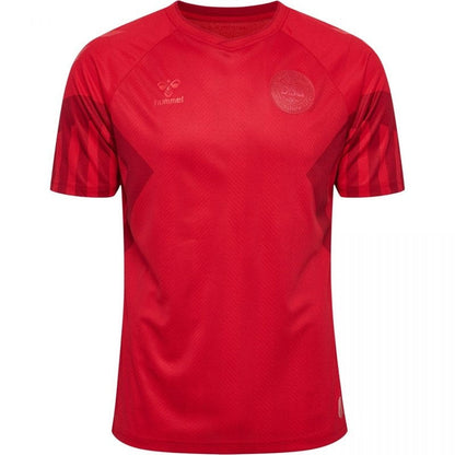 Denmark 22/23 I Home  - Fan Version