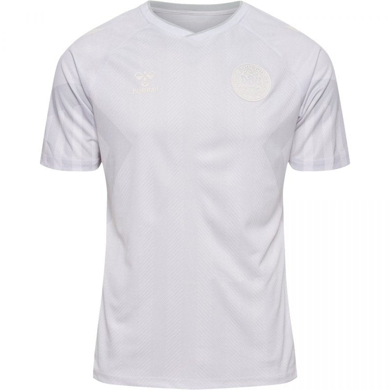 Denmark 22/23 II Away  - Fan Version