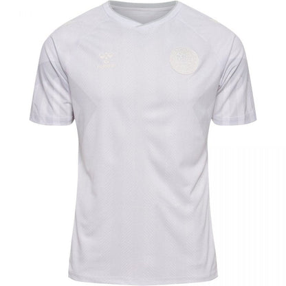 Denmark 22/23 II Away  - Fan Version