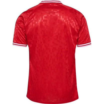 Denmark 24/25 I Home  - Fan Version