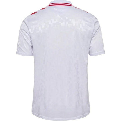 Denmark 24/25 II Away  - Fan Version