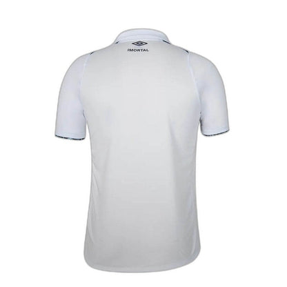 Gremio 24/25 II Away  - Fan Version