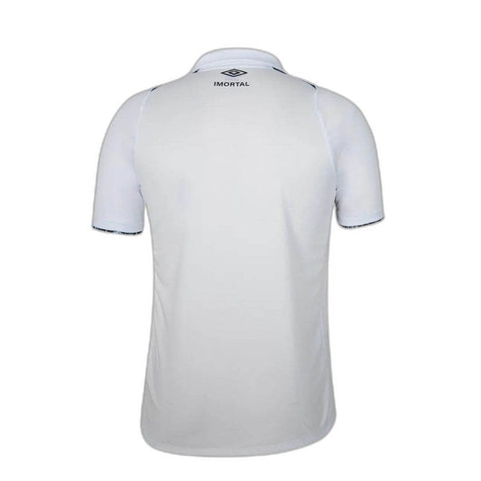 Gremio 24/25 II Away  - Fan Version