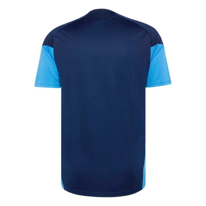 Cruzeiro  26/27 Training  - Fan Version