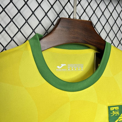 Norwich 24/25 I Home  - Fan Version