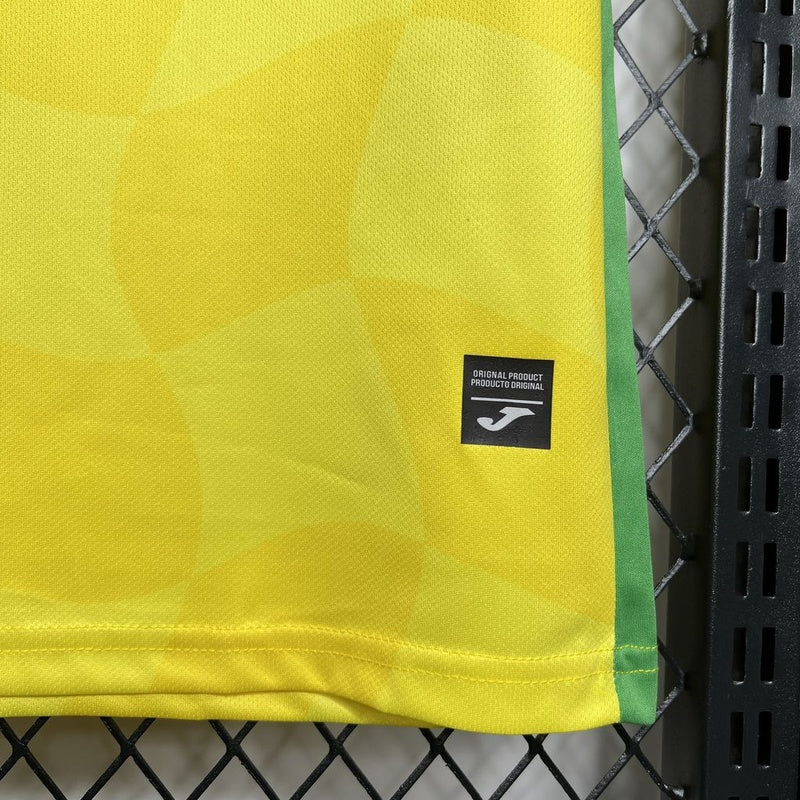 Norwich 24/25 I Home  - Fan Version
