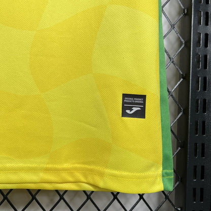 Norwich 24/25 I Home  - Fan Version