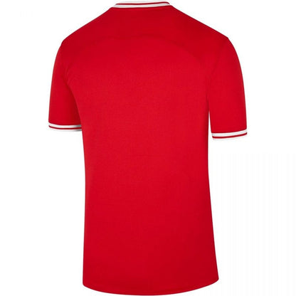Poland 22/23 II Away  - Fan Version