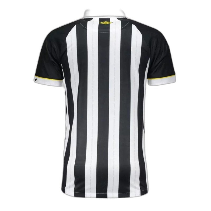 Santos 23/24 II II Away  - Fan Version