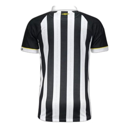 Santos 23/24 II II Away  - Fan Version