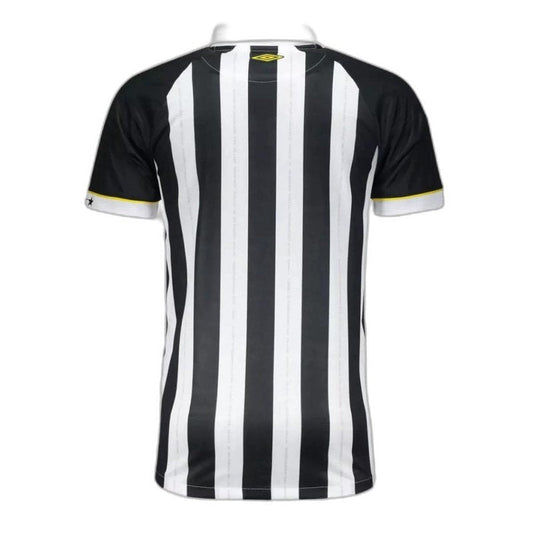 Santos 23/24 II II Away  - Fan Version