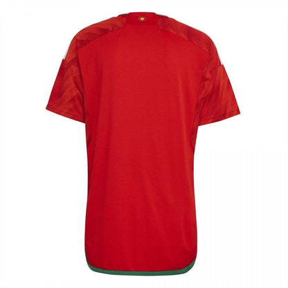Wales 22/23 I Home  - Fan Version
