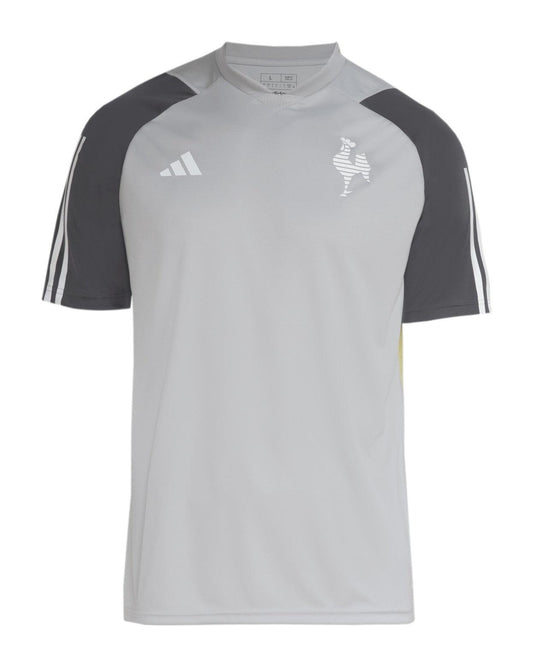 Atletico Mineiro 24/25 Training  - Gray - Fan Version